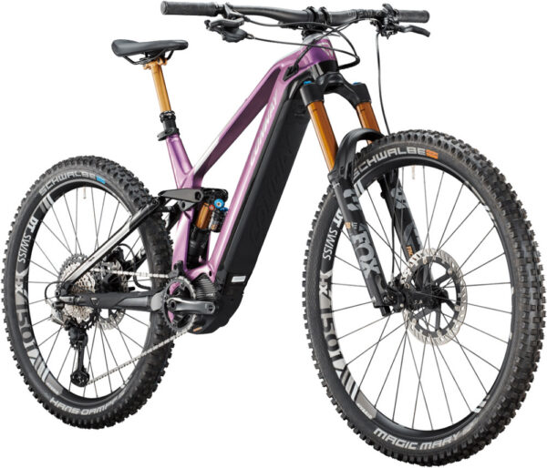 Conway eWME 8.9 MX - 250 W - 85 Nm - 25 km/h – Image 3