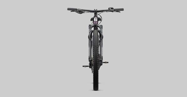 Radon ZR Lady Hybrid 500 - 250 W - 85 Nm - 25 km/h – Image 4