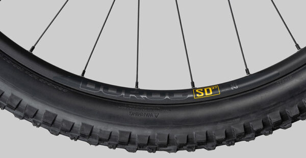 Radon Render 9.0 625 - 250 W - 85 Nm - 25 km/h – Image 12