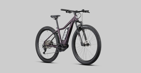 Radon ZR Lady Hybrid 500 - 250 W - 85 Nm - 25 km/h – Image 5