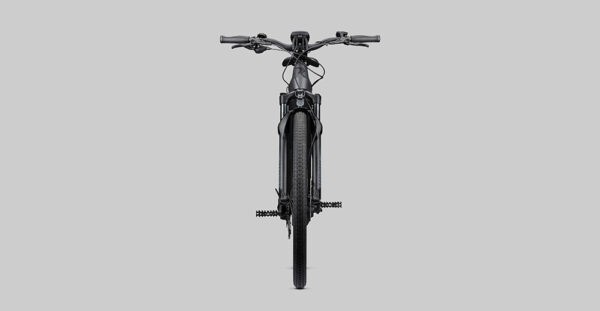 Radon Relate 8.0 Dame 625 - 250 W - 85 Nm - 25 km/h – Image 8