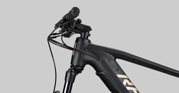 Radon Jealous Hybrid 9.0 625 - 250 W - 85 Nm - 25 km/h – Image 8