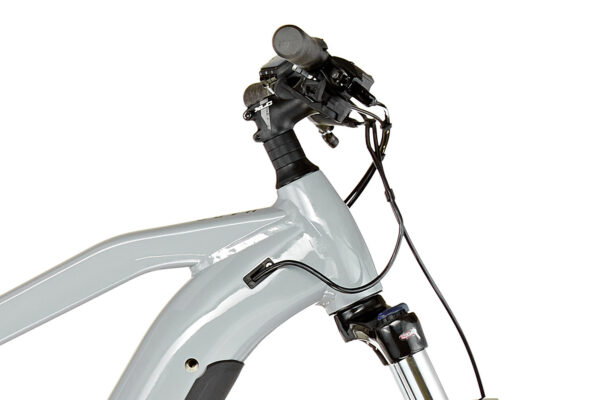 VTT Électrique HAIBIKE HARDNINE 6 29" Gris 2022– 250 W – 70 Nm – 25 km/h – Image 5