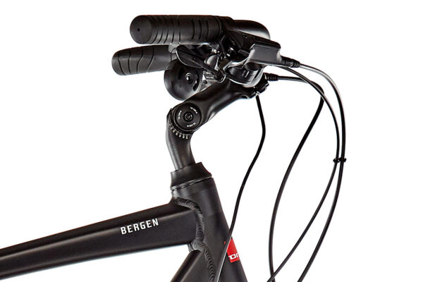 ORTLER BERGEN 300 DIAMANT Noir- 250 W - 40 Nm - 25 km/h – Image 5