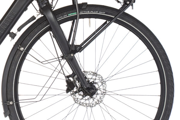 RABENEICK TC-E CARRY DIAMANT Noir 2021 - 250 W - 45 Nm - 25 km/h – Image 6