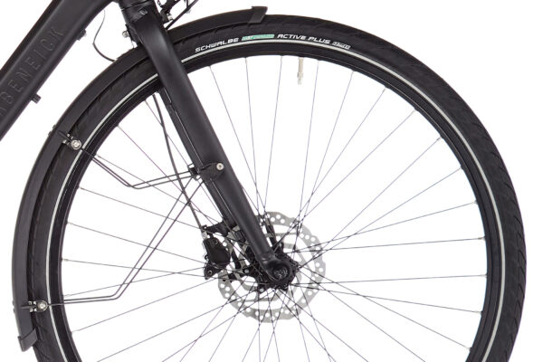 RABENEICK TC-E DIAMANT Noir 2021 - 250 W - 45 Nm - 25 km – Image 6