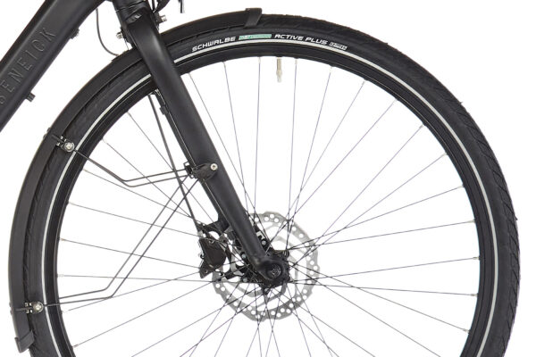 RABENEICK TC-E TRAPEZ Noir 2021 - 250 W - 45 Nm - 25 km/h – Image 6