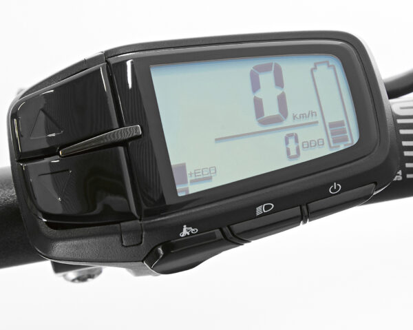 WINORA YUCATAN 10 DIAMANT Vert 2022 - 250 W - 70 Nm - 25 km/h – Image 10